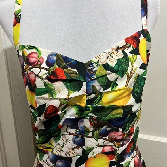 City Chic Women’s 18 Plus Rockabilly  Fruit Salad Dress SPRING 2024 - Picture 2 of 10